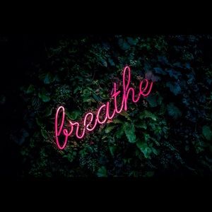 Meet your Posher, Isabella